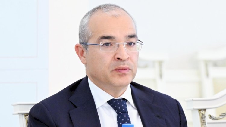    Mikayıl Cabbarov devalvasiyadan danışdı:   “Risklər görməmişik”