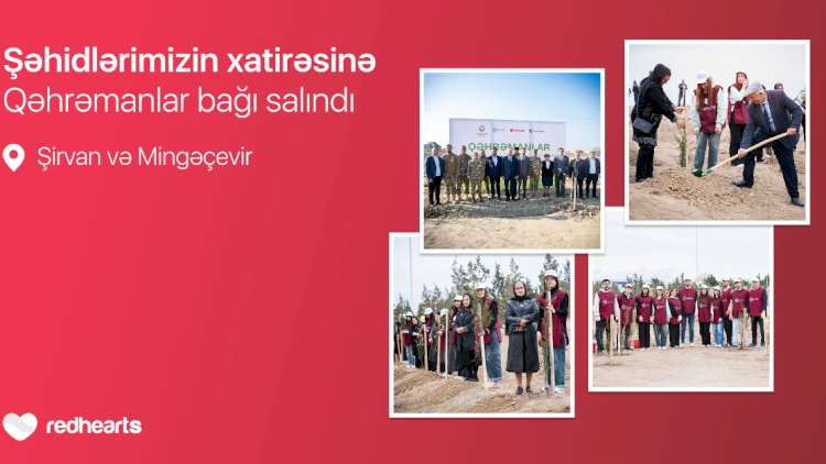    “Qəhrəmanlar bağı” layihəsi: Şəhidlərin xatirəsinə 543 ağac əkildi   