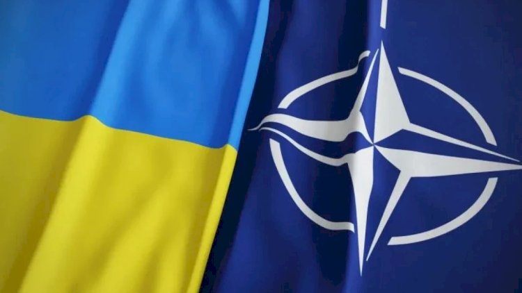    NATO baş katibinin müavini Ukraynada səfərdədir   