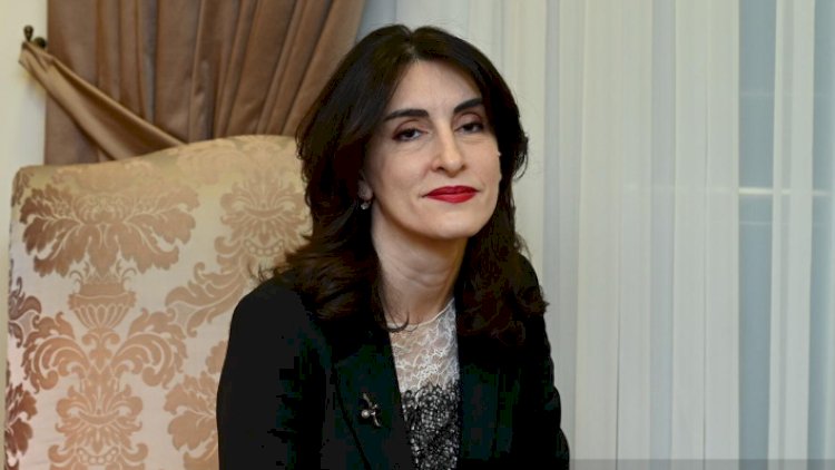    Sülh prosesini alqışlayırıq - Gürcü nazir   