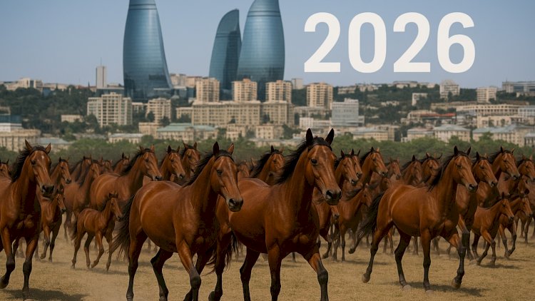    Maliyyə möcüzəsi gəlir – Bu bürclər 2026-da varlı ola bilər   