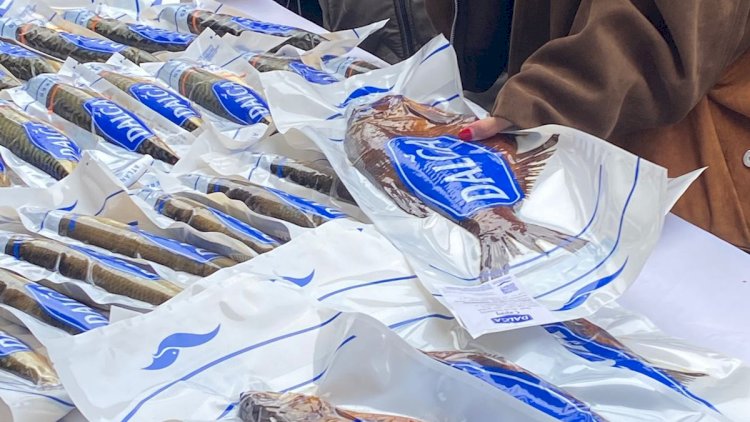    “AzProduct” MMC-nin “Dalğa” brendi Neftçalada ilk Balıq Festivalında iştirak edib -   FOTO