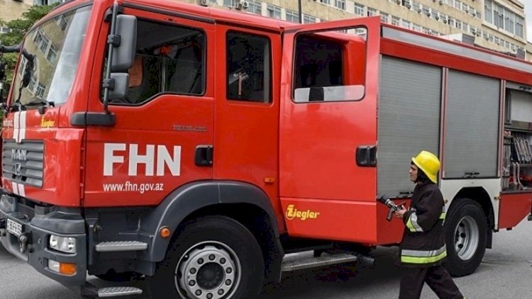    7 gündə 13 meyit aşkarlanıb - FHN   