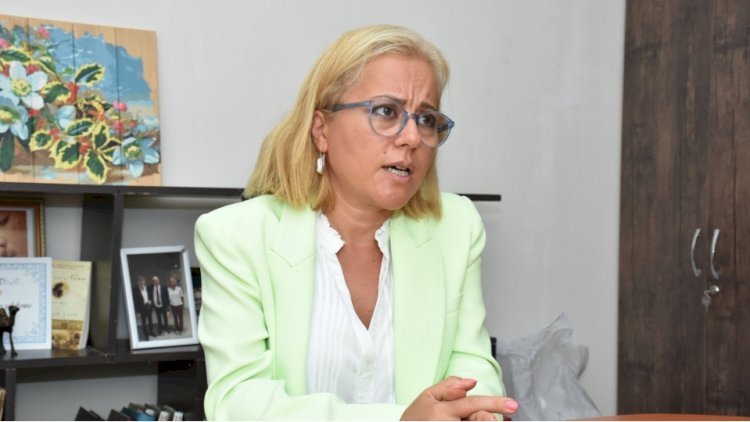    “Yardım edənləri ruhdan salırsınız“ -   Nigar Köçərlidən sərt mesaj