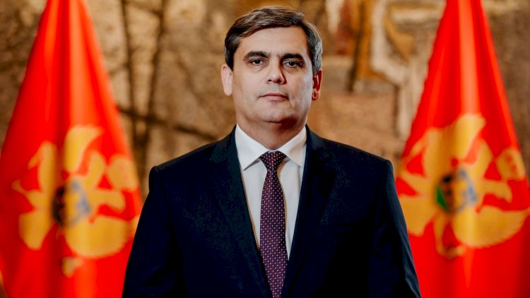    İbrahimoviç Bakıya gələcək   