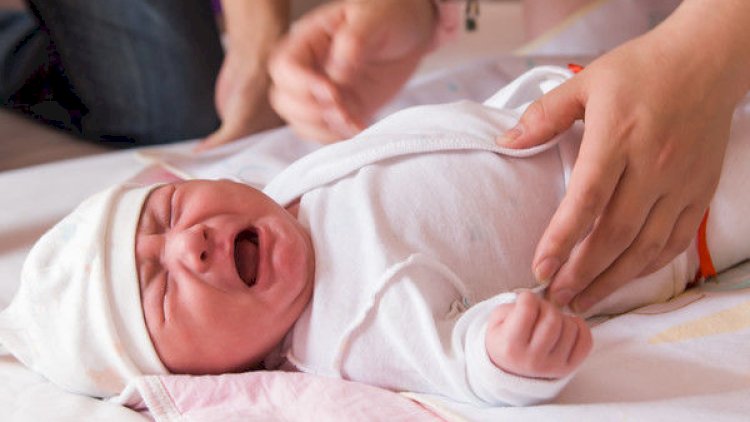    Yeni ildə Naxçıvan və Şamaxı birinci oldu   