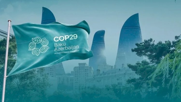    COP29 Azərbaycan Əməliyyat Şirkəti ləğv edildi   