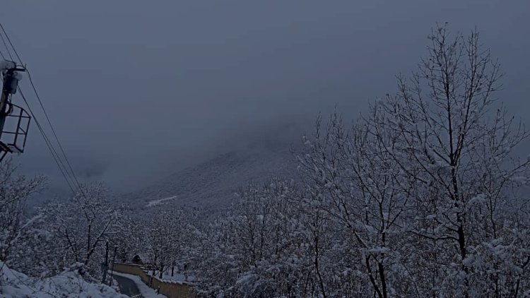    Bu ərazilərə qar yağır, şaxta var -   FAKTİKİ HAVA
