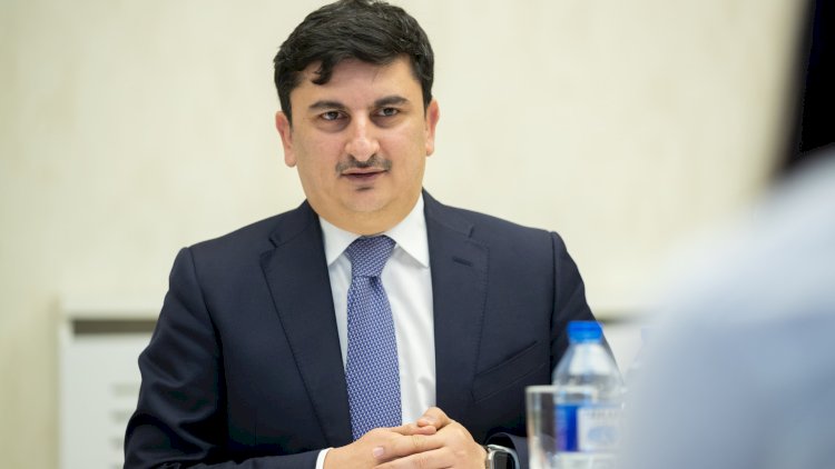    3 ölkədən 37 azərbaycanlı geri qaytarılıb - Agentlik rəhbəri   