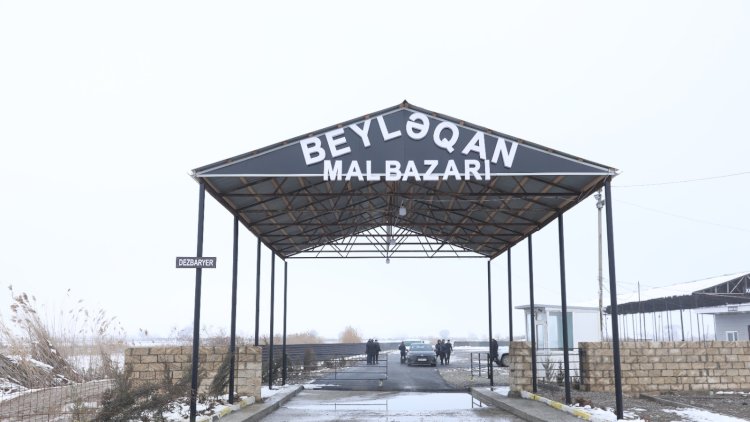    Beyləqan heyvan bazarı açıldı   