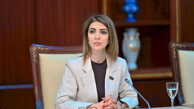    Deputat seçicilərini belə aldadır -   Həm də rəsmi qəzet vasitəsilə
