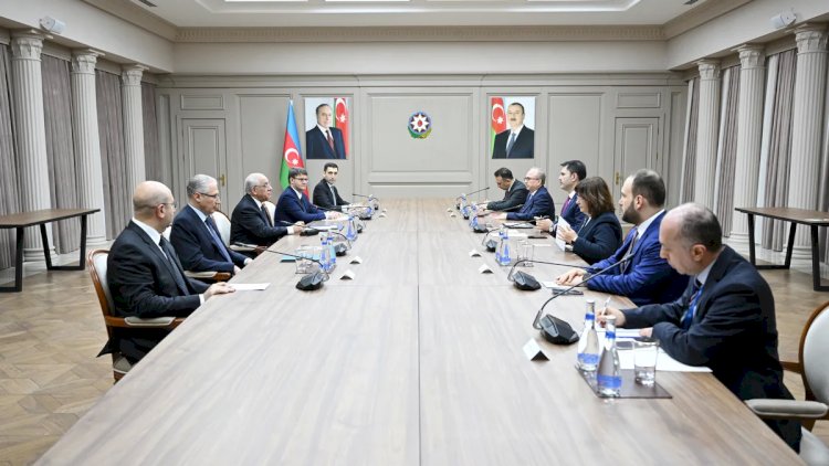    Əli Əsədov Türkiyənin ətraf mühit, şəhərsalma və iqlim dəyişikliyi naziri ilə görüşdü   