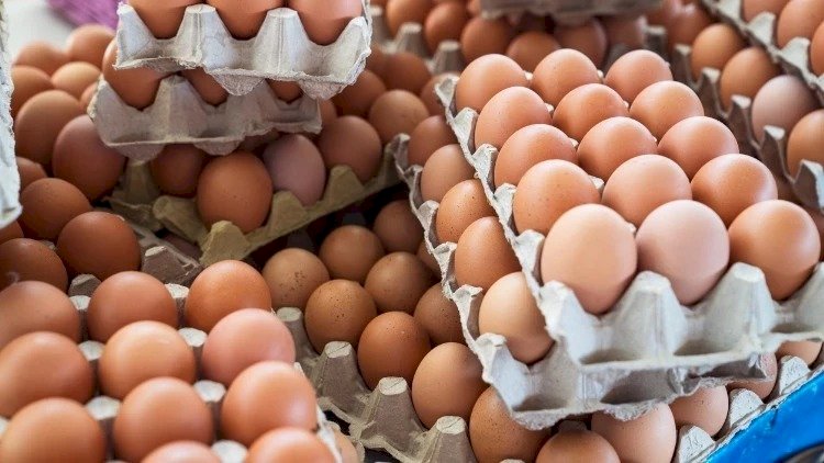    Azərbaycan yumurta ixracını   DAYANDIRDI