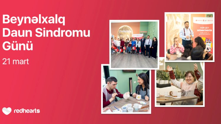    “Hər şey mümkündür”: İnklüziv inkişafı dəstəkləyən master-klass təşkil olunub   
