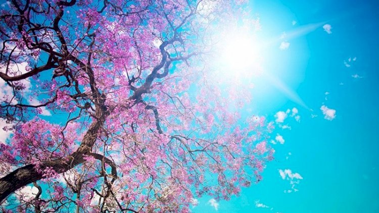    Sabah 23 dərəcə isti olacaq - HAVA PROQNOZU   