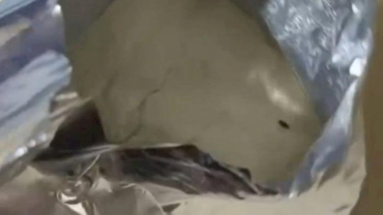    “Humana”dan qurd çıxması xəbəri haqda AÇIQLAMA   