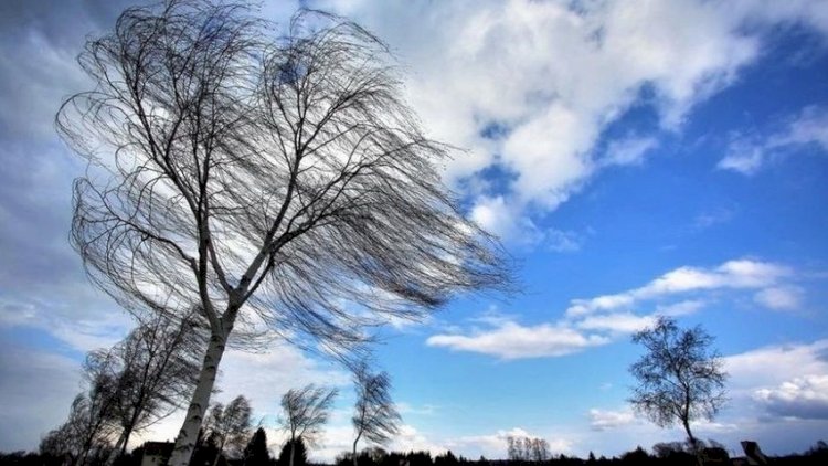    Bəzi yerlərdə külək güclənəcək -   XƏBƏRDARLIQ