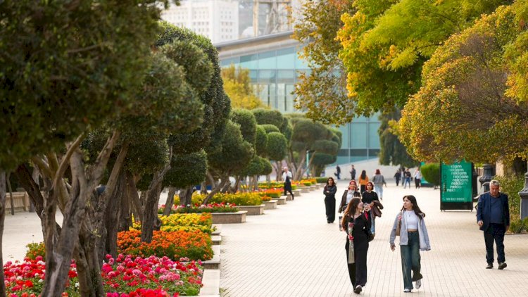    Sabah 25 dərəcə isti olacaq -   Cümə gününün havası