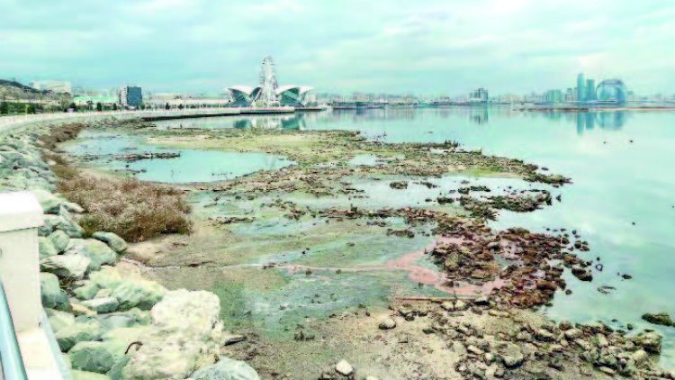    Xəzərdə suyun səviyyəsi 2050-ci ilə qədər 21 metrə düşə bilər -   TƏHLÜKƏ