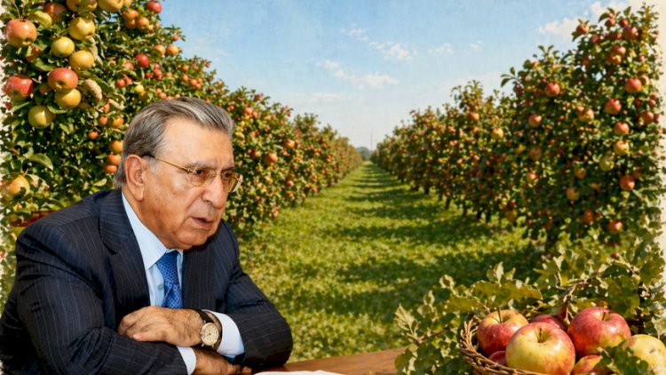    Ramanada Ramiz Mehdiyevin 32 hektar bağı əlindən alındı   