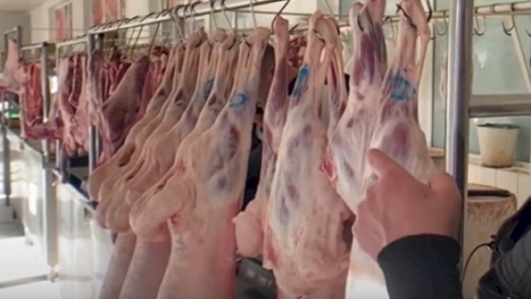    Azərbaycana xaricdən ət gətirilməsi artıb - Rəsmi   