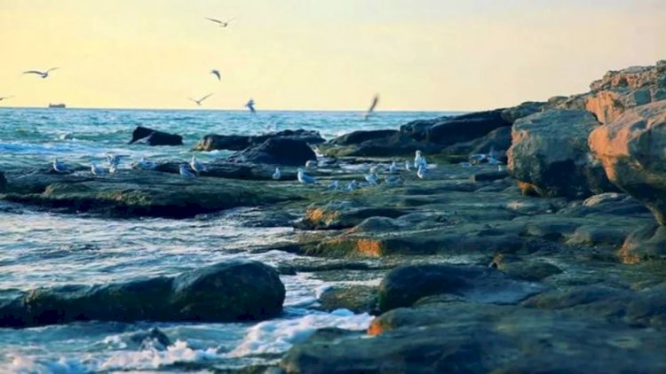    Azərbaycan ərazisi 65 min km² arta bilər – Xəzərlə bağlı qorxunc proqnoz   