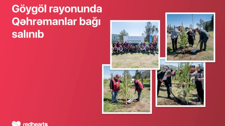    Göygöldə “Qəhrəmanlar bağı” aksiyası həyata keçirilib   