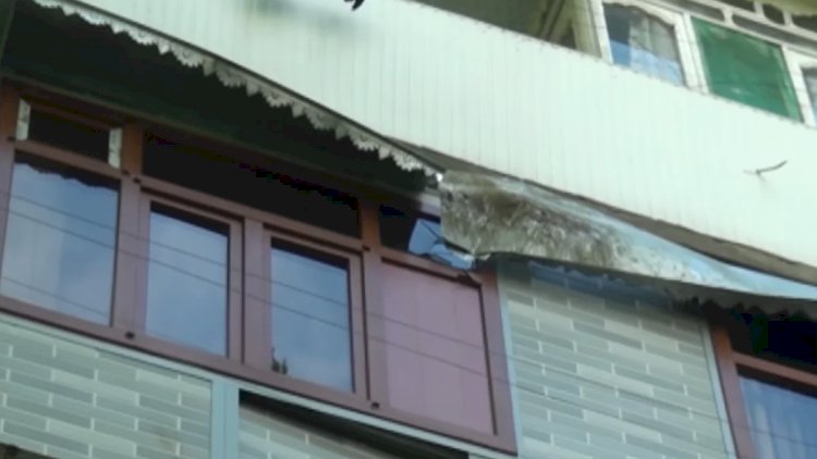    Mingəçevirdə güclü külək fəsad törətdi: aşan ağaclar mənzillərə ziyan vurdu   - VİDEO