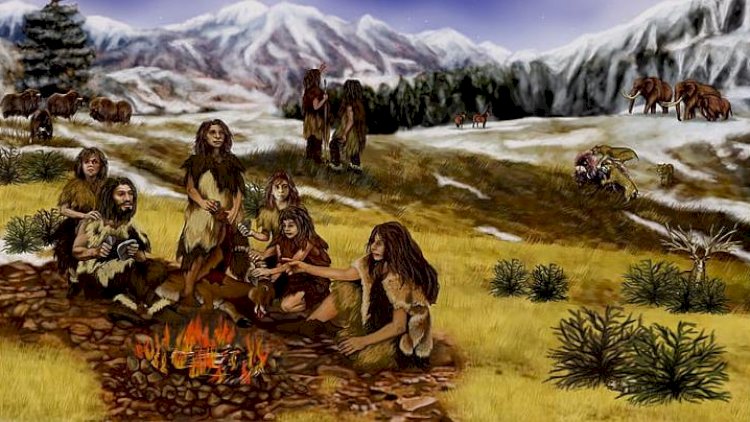    Yemək uğrunda həyat - Əmək necə insanı azad etdi?   