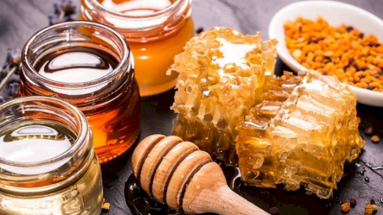    Azərbaycanda bala dair yeni qaydalar hazırlanır   