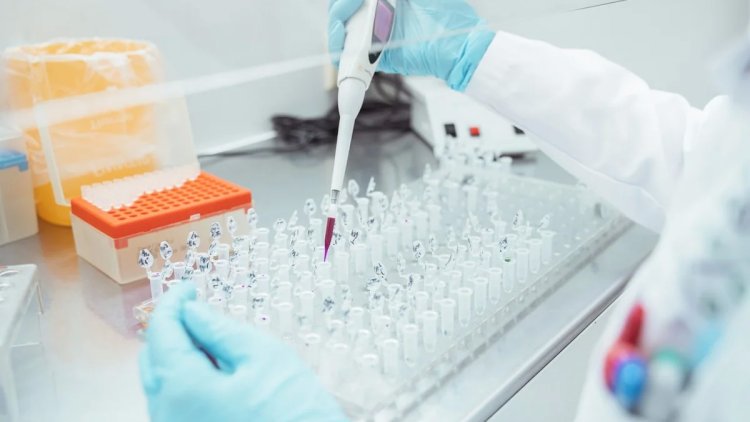    Niderlandda stüardessa hantavirus şübhəsi ilə xəstəxanaya yerləşdirildi   