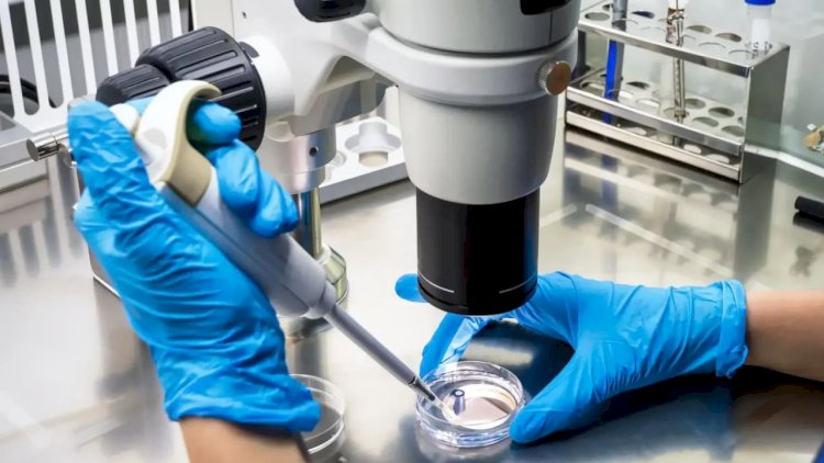    Ölüm saçan virus İsrailə çatdı: İlk xəstə tapıldı   