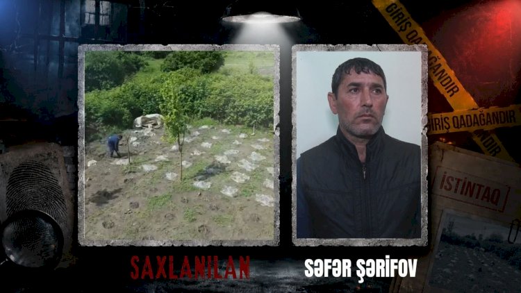    Balakəndə narkotik plantasiyası aşkarlandı   