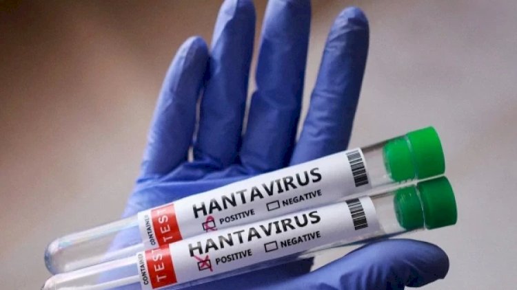    ÜST Azərbaycanda hantavirusa dair məlumat yaydı   