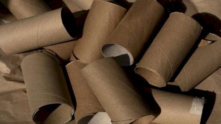    Atmağa tələsməyin: İstifadə olunmuş tualet kağızı rulonları xəzinə imiş   