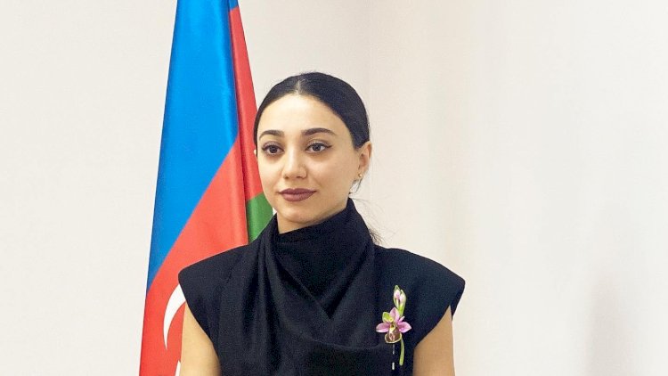    Günay Əliyevaya vəzifə verildi   