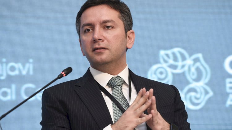    Nazir müavini WUF13-də mina problemini gündəmə gətirdi   