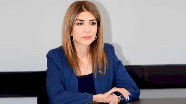    “Uşaqpulu tənbəllik yarada bilər” – Deputatın açıqlaması gündəm oldu   