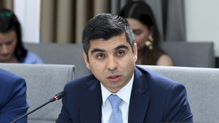   Nazir müavini:  Valideynlərin 43 faizi uşaqlara nəzarət edə bilmir   
