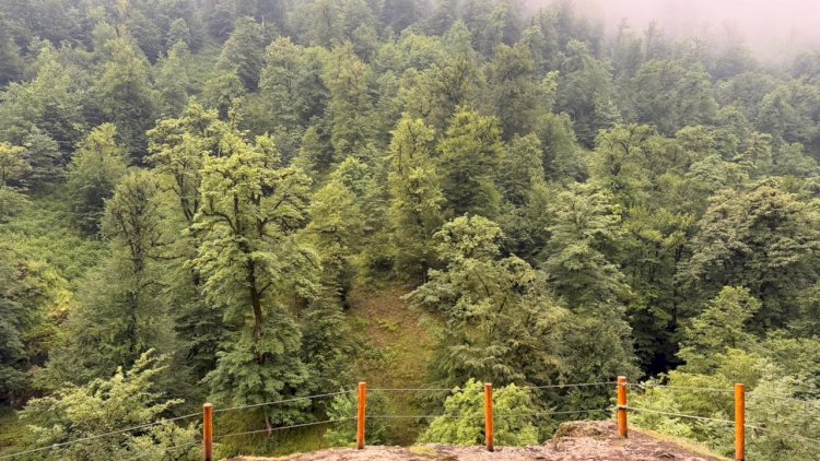    Azərbaycanda gizli cənnət varmış – 74 bulaq, 4 şəlalə və nağıl kimi kənd   - FOTOLAR