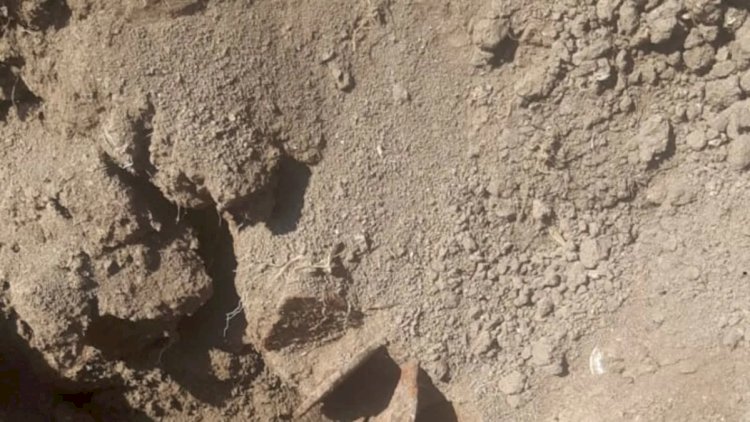    Ağdamda qazılan məzarda döyüş sursatı tapıldı   