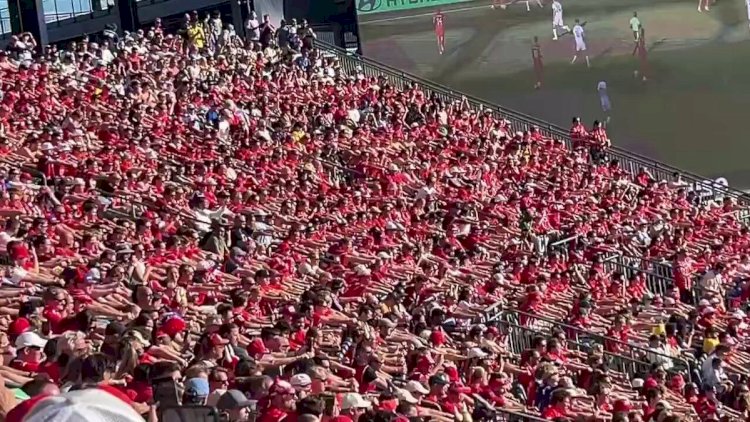    Norveçli fanatlar stadionda “avar çəkdilər” -   VİDEO