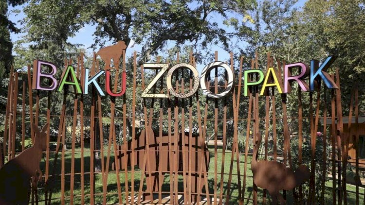    Bakı Zooparkı ləğv olunur – Qərar rəsmən təsdiqləndi   
