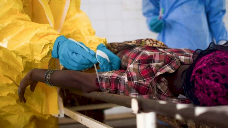    Afrikada vəba epidemiyası: 14 ölkəyə yayıldı   