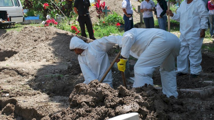    Bir tükdən asılı qalan meyit: Ölünün şəxsiyyəti necə müəyyənləşdirilir?   