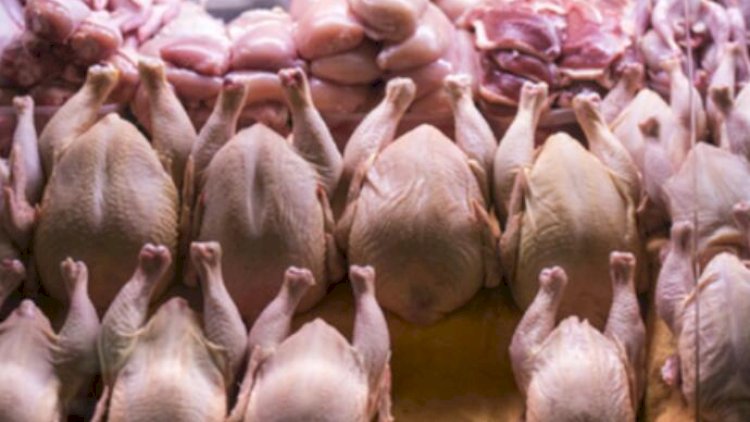    Azərbaycanda hormonlu broyler toyuqları yetişdirilir?   - RƏSMİ AÇIQLAMA