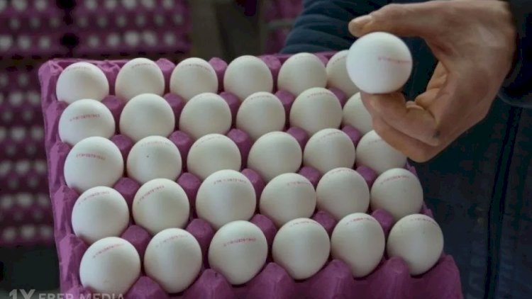    Satışda yenə 1 qəpiklik yumurta olacaq? - “Ucuzlaşması gözləniləndir”   