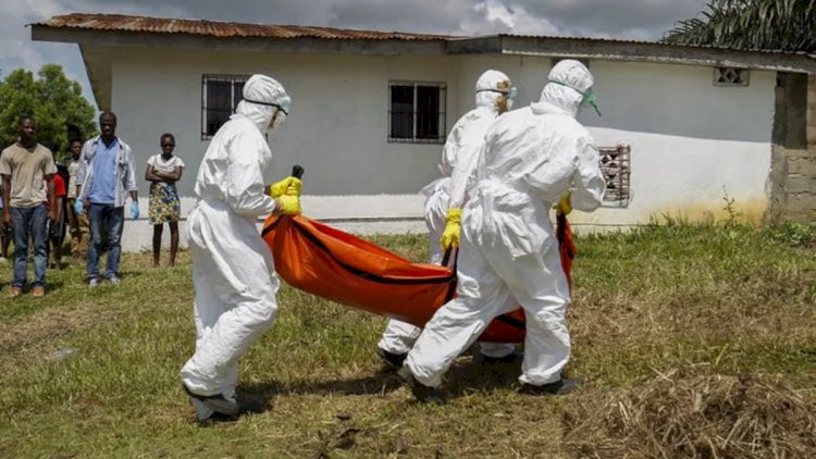    Konqo və Uqandada Ebola qurbanlarının sayı min nəfəri ötdü   
