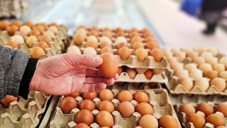    “Əşşi, 38 qəpiyə də yumurta olar?!” – Fakt budur ki, var   