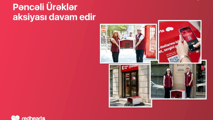    “Pəncəli Ürəklər” aksiyası çərçivəsində sahibsiz heyvanlar üçün yuvaların sayı 35-ə çatdı   